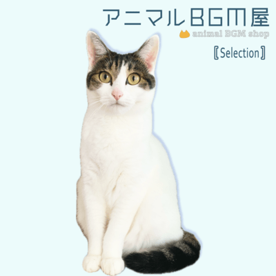 animalBGMshop Selection (2024 Remastered) Front Cover