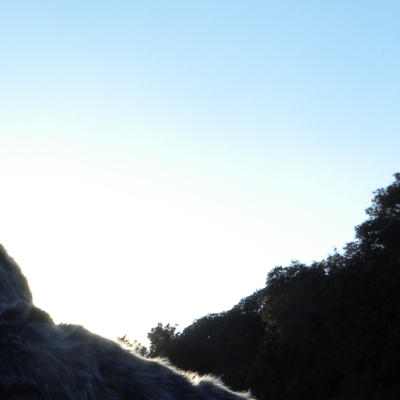 Daily Routineのジャケット写真