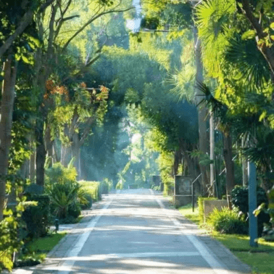 青空散歩のジャケット写真