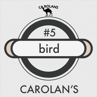 bird Front Cover