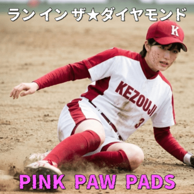 Run in the Diamond Front Cover