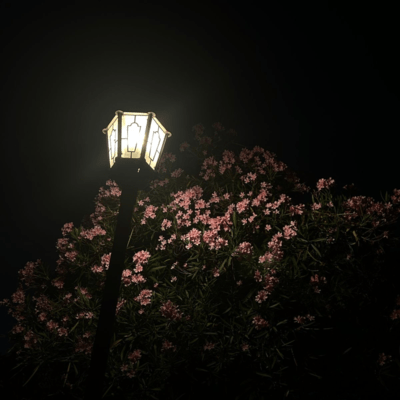 I think at nightのジャケット写真
