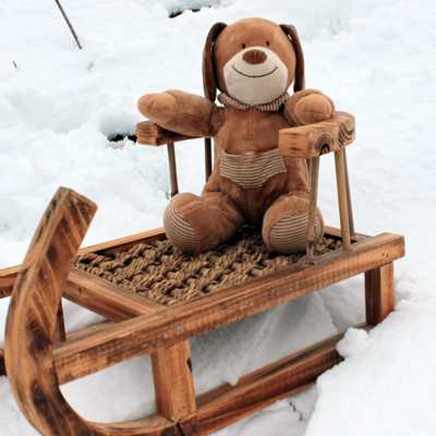 The puppy stuffed toy Front Cover