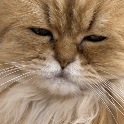 mabataki Front Cover