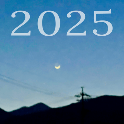 2025のジャケット写真