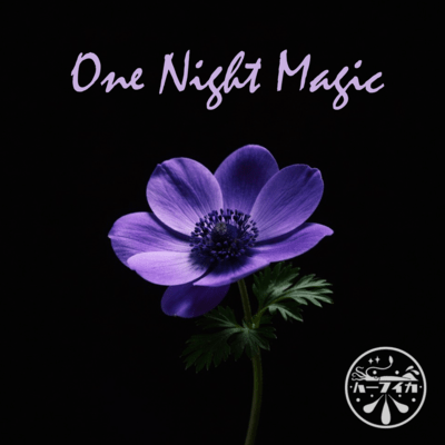 One Night Magic Front Cover