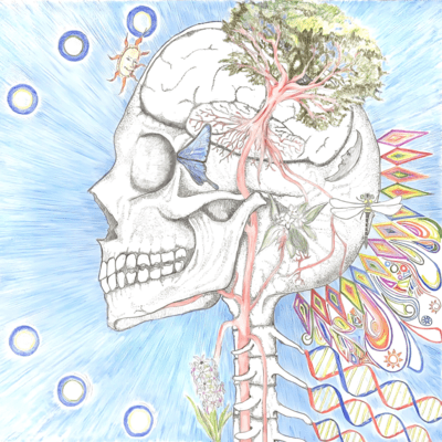 Never Die Front Cover