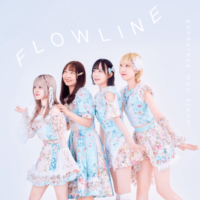 Flowline Front Cover
