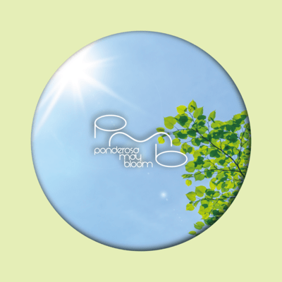 Chasing August Front Cover