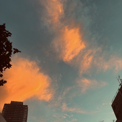 Tears of joy Front Cover