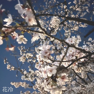 花冷のジャケット写真