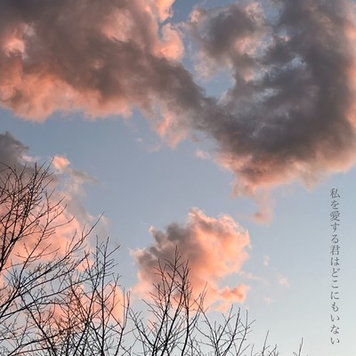 私を愛する君はどこにもいないのジャケット写真
