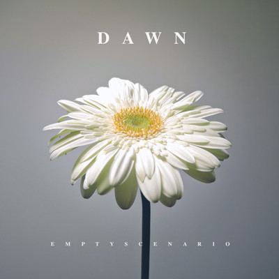 DAWNのジャケット写真