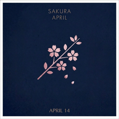 SakuraApril Front Cover