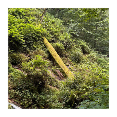 KARUIZAWA Front Cover