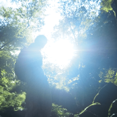 Wether Reportのジャケット写真