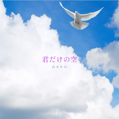 君だけの空のジャケット写真
