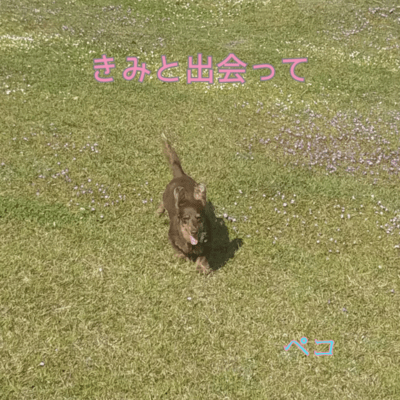 きみと出会ってのジャケット写真