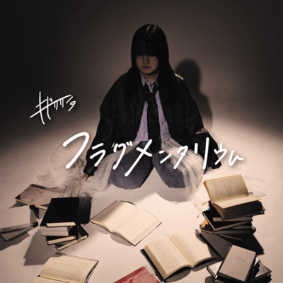 flagmenntariumu Front Cover