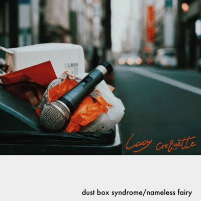 Dustbox Syndrome/nameless fairyのジャケット写真