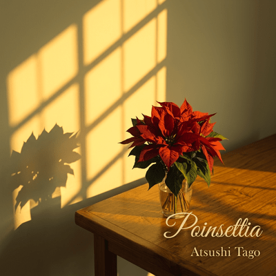 Poinsettia Front Cover