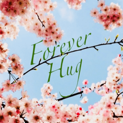 Forever Hug Front Cover