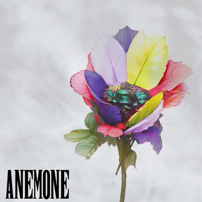 ANEMONE Front Cover