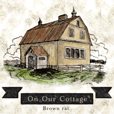 On Our Cottage Front Cover