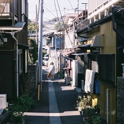 夏が通るのジャケット写真