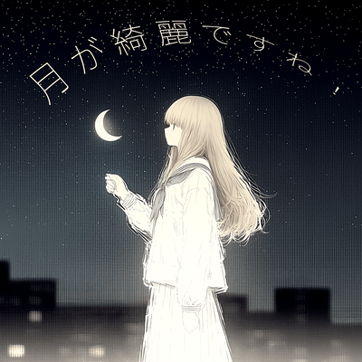 The Moon is Beautiful! Front Cover