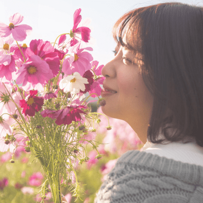To My Dearest, from a Cosmos field Front Cover