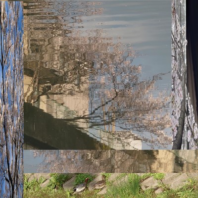 HARURANMANのジャケット写真