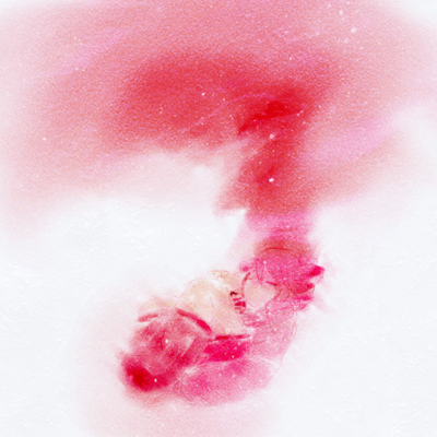 血の音みたいだのジャケット写真