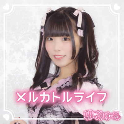 mercator life Front Cover