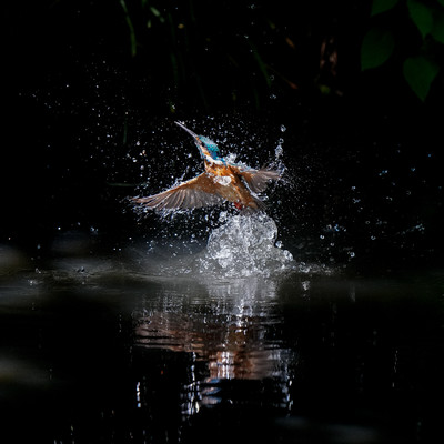根拠にしては弱過ぎるのジャケット写真