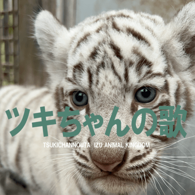 ツキちゃんの歌のジャケット写真