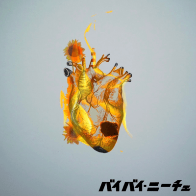 light my fire Front Cover