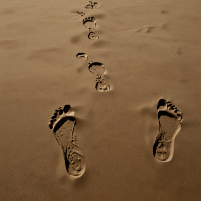 Keeping the Light On Front Cover