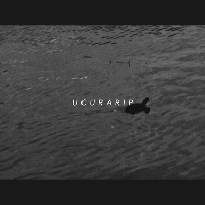 VENDETTA Front Cover