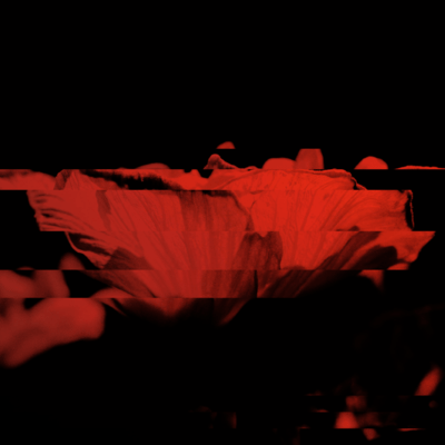 花のジャケット写真