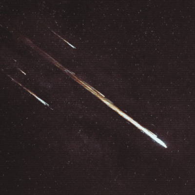 Natural Selection Front Cover