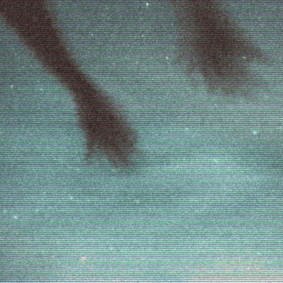 Shadows Front Cover