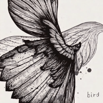 bird Front Cover
