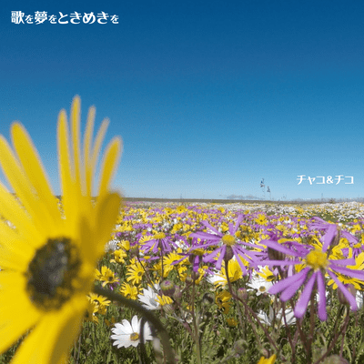 歌を夢をときめきをのジャケット写真