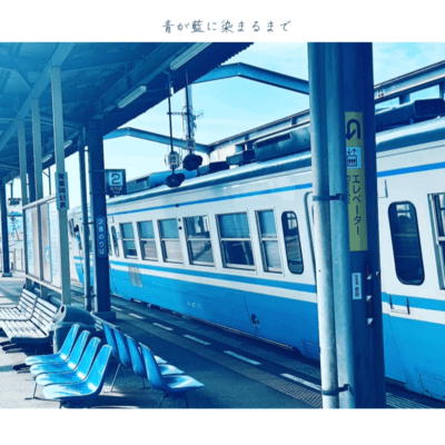 poplar tree Front Cover