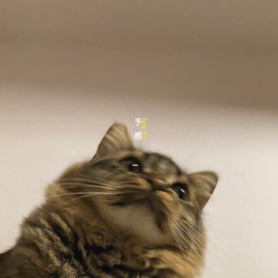 予感のジャケット写真