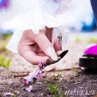 HARUKAZEのジャケット写真