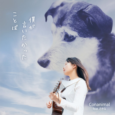 The Words I Longed to Say (feat. sakina) Front Cover