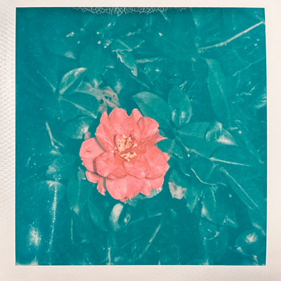 黎明のジャケット写真