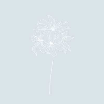 linen / セピアのジャケット写真